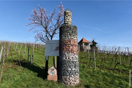 Kunstwerk Steintraube und Infotafel Geologie