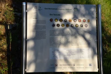 Infotafel die Traube