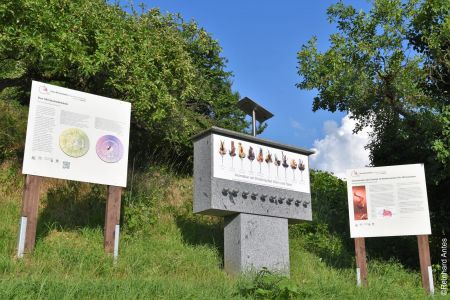 Zwei Infotafeln zum theam Wein und Aromen und Geruch, in der Mitte die Aromabar.