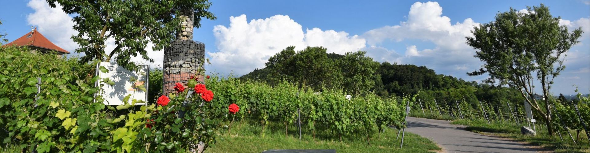 Kunstwerk auf dem Erlebnispfad Steinflasche umgeben von Rosen und Weinbergen