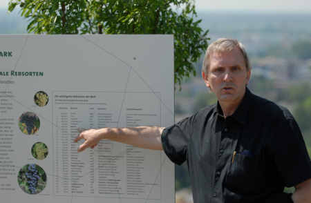 Infotafel internationale Rebsorten mit Herr Prof. Rühl