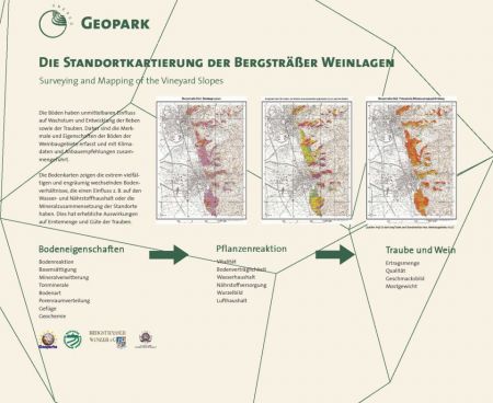 Infotafel zum Thema Standortkartierung der Bergstraße.