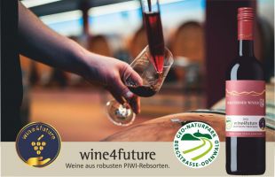 wine4future Flasche und Logo, sowie Geo-Naturpark Logo. Im Hintergrund Stimmungsbild aus dem Holzfasskeller.