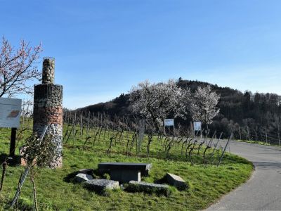 Kunstwerk auf dem Erlebnispfad Steinflasche mit Blick auf die Starkenburg