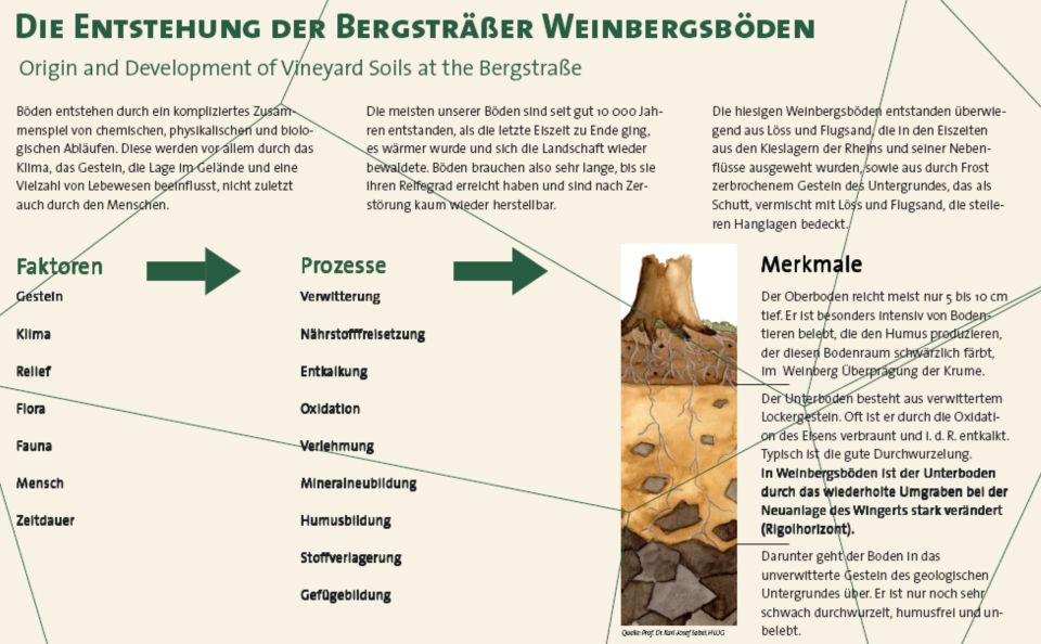 Infotafel zur Entstehung der Weingergsböden